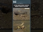 Ancient Mammoth Skeleton Discovered Along Bulgaria's Drought-Hit Danube