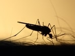 Malaria
