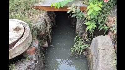 According to residents, the prolonged waterlogging has also heightened concerns over mosquito-borne diseases such as dengue and malaria. (HT photo)