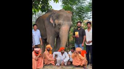 Barnala police have booked the elephant’s owner, Jai Ram of Ludhiana, and three mahouts for their alleged involvement in the mistreatment of the elephant. (HT) Barnala police have booked the elephant’s owner, Jai Ram of Ludhiana, and three mahouts for their alleged involvement in the mistreatment of the elephant. (HT)