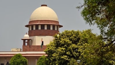 The court also stressed the need for urgent reforms in regulating driving schools (HT_PRINT) The court also stressed the need for urgent reforms in regulating driving schools (HT_PRINT)
