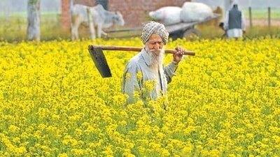 Farming (HT file photo)
