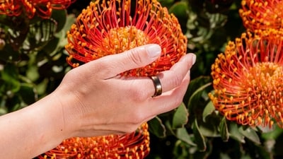 A smart ring became my favourite health tracker. A smart ring became my favourite health tracker.