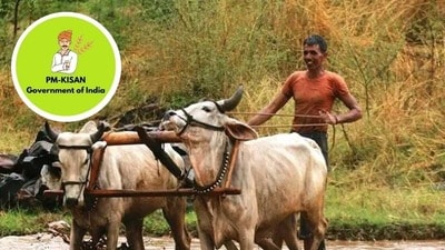 పీఎం కిసాన్ 24వ విడత డబ్బులు పడేది ఎప్పుడు? పీఎం కిసాన్ 24వ విడత డబ్బులు పడేది ఎప్పుడు?