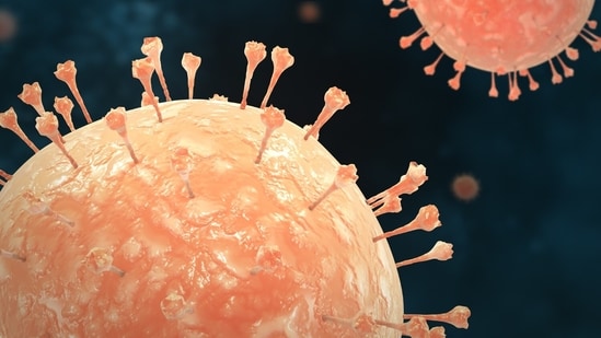 3.8 billion people have herpes, per WHO. Here's what to know about symptoms, transmission, treatment and more. (Freepik)