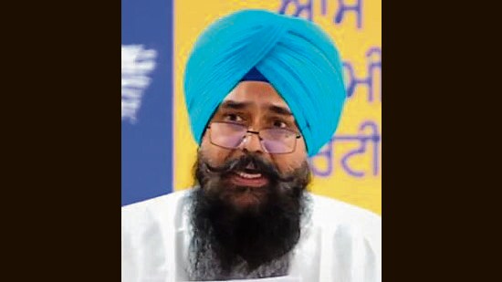 Addressing a press conference, MP Malvinder Singh Kang said the Mann government brought the legislation in response to the long-standing demand of the Sikh community for a strong legal framework to prevent repeated incidents of sacrilege and ensure that those responsible do not escape punishment. (HT)