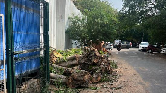 Gurugram, India-April 16, 2025: The illegal felling of multiple trees in DLF Phase 1 Block-E green belt area near Arjun Marg, in Gurugram, India, on Wednesday, 16 April 2025. (Photo by Parveen Kumar/Hindustan Times)(Pic to go with Leena Dhankar's story)