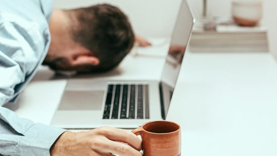 The techie said he has been working at the same medium-sized startup since graduating from college.