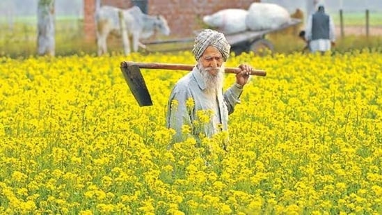 Farming (HT file photo)