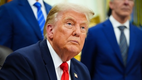 President Donald Trump. (AP Photo/Julia Demaree Nikhinson)