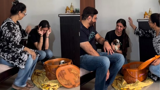 Woman left in tears after parents surprise her with puppy.