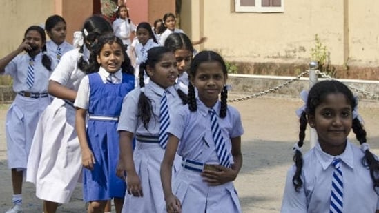 Student (Representational image)