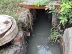 According to residents, the prolonged waterlogging has also heightened concerns over mosquito-borne diseases such as dengue and malaria. (HT photo)