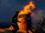 FILE PHOTO: Residents and firefighters work to extinguish an advancing wildfire near Formariz in Zamora province, Spain, July 29, 2026. REUTERS/Umit Bektas/File Photo(REUTERS)