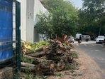 Gurugram, India-April 16, 2025: The illegal felling of multiple trees in DLF Phase 1 Block-E green belt area near Arjun Marg, in Gurugram, India, on Wednesday, 16 April 2025. (Photo by Parveen Kumar/Hindustan Times)(Pic to go with Leena Dhankar's story)