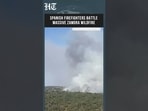 Spanish Firefighters Battle Massive Zamora Wildfire Near Portugal Border