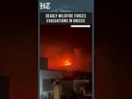 Deadly Greece Wildfire Triggers Mass Evacuations As Firefighters Battle Raging Flames