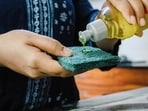Kitchen sponge can harbour more pathogenic bacteria than a toilet seat because their porous, damp nature easily traps organic food debris. 