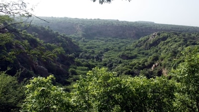A forester regards forests as irreplaceable ecological capital accumulated over centuries. A forester regards forests as irreplaceable ecological capital accumulated over centuries.