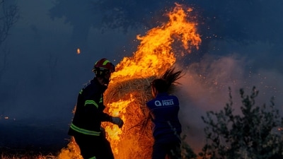 FILE PHOTO: Residents and firefighters work to extinguish an advancing wildfire near Formariz in Zamora province, Spain, July 29, 2026. REUTERS/Umit Bektas/File Photo (REUTERS)