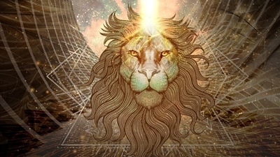 Why the 8/8 Lion's Gate Portal stands out in numerology.
