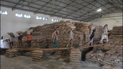 The government has said that diversion of surplus FCI rice has had no impact on retail food inflation. (HT Photo) The government has said that diversion of surplus FCI rice has had no impact on retail food inflation. (HT Photo)