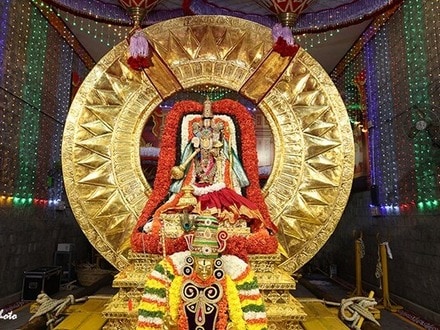 శ్రీవారి సాలకట్ల బ్రహ్మోత్సవాల షెడ్యూల్