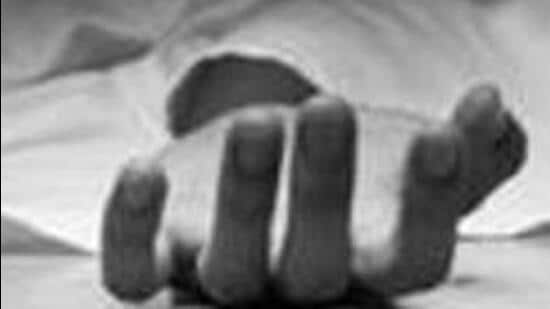 The deceased was identified as Gurmeet Kaur, a resident of Chachu Majra, Sohana, while the injured are her son, Gagandeep Singh, 27, and grandson Gurkeerat Singh. (HT File)