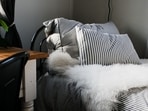When was the last time you changed your pillow? Doctor explains its importance