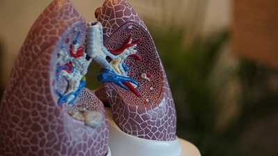 Read more to find out symptoms that could indicate lung cancer, which shouldn't be ignored. (Unsplash) Read more to find out symptoms that could indicate lung cancer, which shouldn't be ignored. (Unsplash)