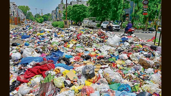 Waste remains strewn across a road near Midda Chowk in Ludhiana on Saturday. (Gurpreet Singh/HT)