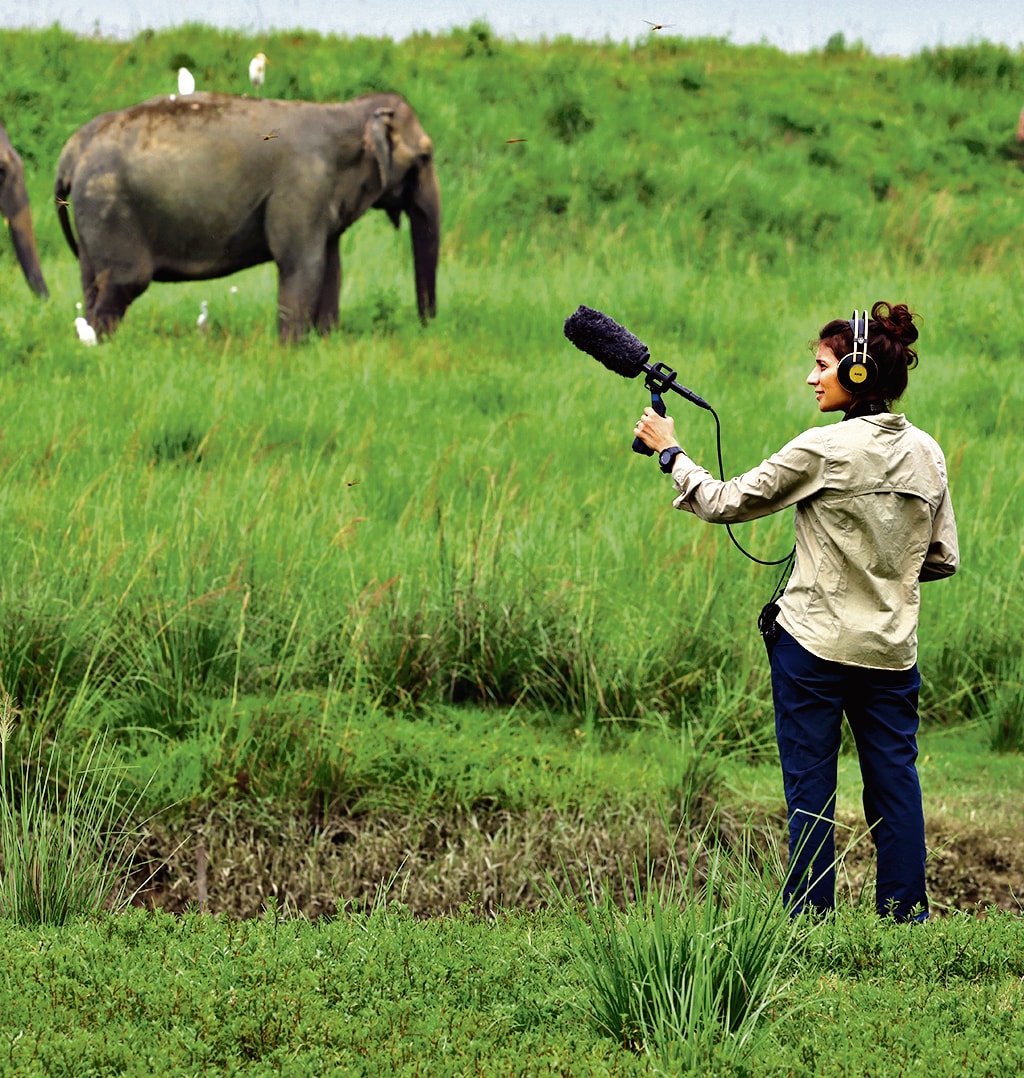 A researcher records elephant sounds at Kaziranga National Park.  (Photo: Vijay Bedi)