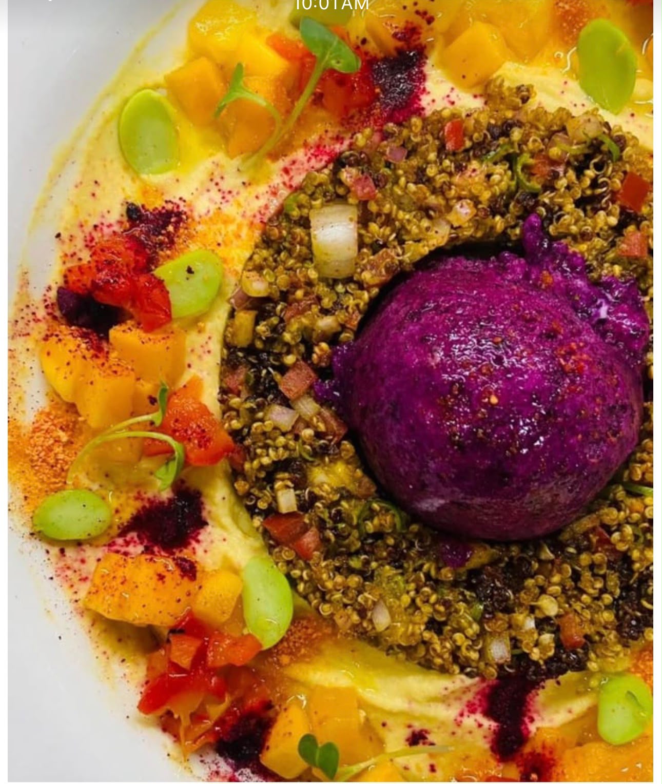 Jamun granita with granola and confit vegetables Jamun granita with granola and confit vegetables