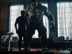 The Hulk and Spider-Man in Brand New Day.