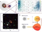 The finding, made using data from the German eROSITA X-ray telescope, provides new clues about how compact stars evolve in galaxies that interact with each other. (HT)