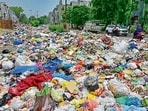 Waste remains strewn across a road near Midda Chowk in Ludhiana on Saturday. (Gurpreet Singh/HT)