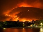 A vegetation fire was reported in Rathdrum, Idaho. Image for representational purpose.