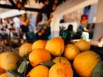 Hundreds of workers pick the fruit from the bushes, before carrying the bounty to a cold-storage facility.(Unsplash)