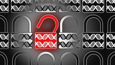 A security weakness in the technology used by most of the nation’s crime labs to analyze DNA evidence exposed 30 years of crime files to the risk of being hacked A security weakness in the technology used by most of the nation’s crime labs to analyze DNA evidence exposed 30 years of crime files to the risk of being hacked