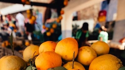 Hundreds of workers pick the fruit from the bushes, before carrying the bounty to a cold-storage facility. (Unsplash) Hundreds of workers pick the fruit from the bushes, before carrying the bounty to a cold-storage facility. (Unsplash)