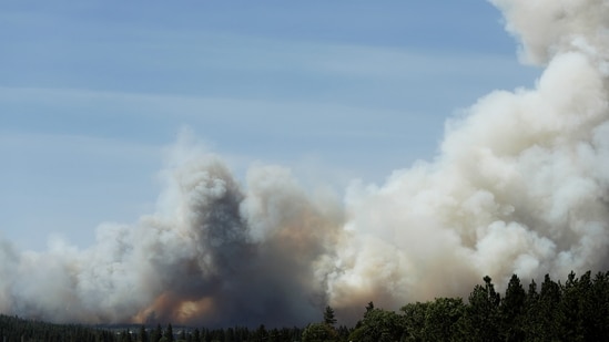 Dwight Merkel Sports Complex in Spokane on fire? Dramatic videos emerge
