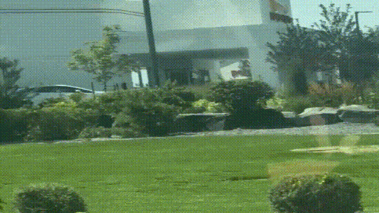 A mass shooting took place at the In-N-Out in Twin Falls, Idaho, leaving many including the shooter dead. (X/@nicksortor)