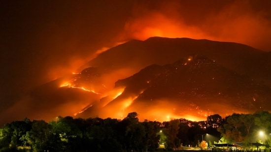 A vegetation fire was reported in Rathdrum, Idaho. Image for representational purpose. (Unsplash)