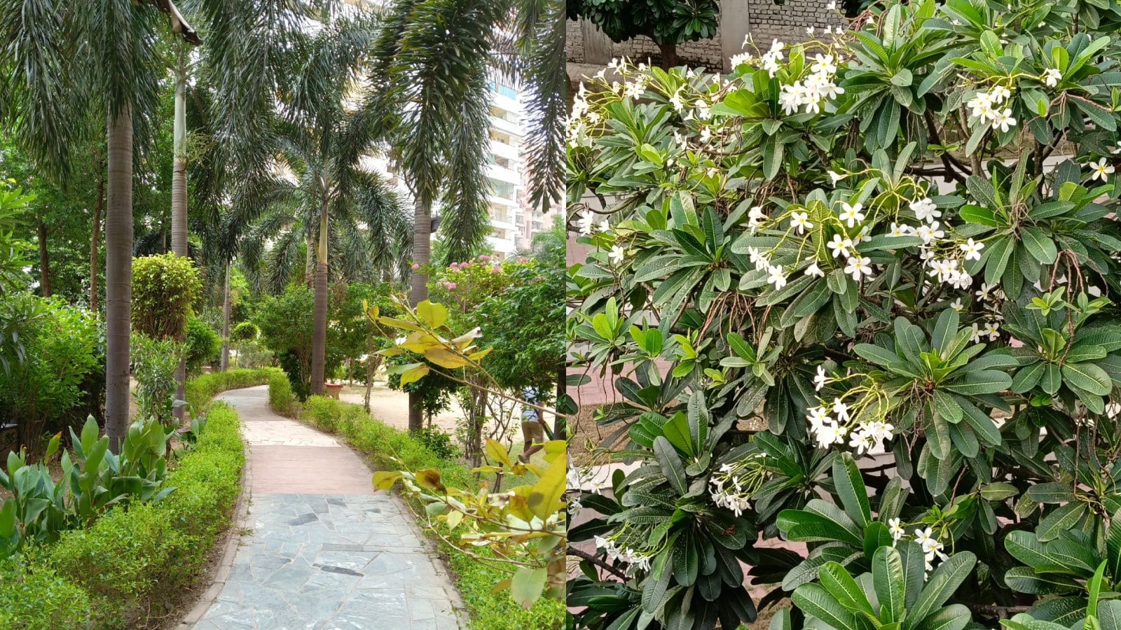 OnePlus N6 Camera Sample 1 (Shweta Ganjoo / HT)