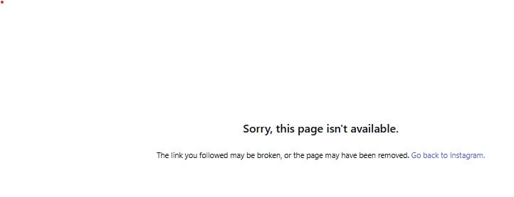 The outlet deleted its Instagram account. (Mister Singh's India - Instagram) The outlet deleted its Instagram account. (Mister Singh's India - Instagram)