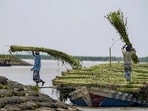 1,36,203 persons in five districts were still affected while 10,844 persons were taking shelter in relief camps. (PTI photo)