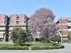 IIT Kanpur launches online course on Advanced DS and ML for Business Analytics