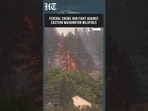 Federal Firefighters Mobilized As Eastern Washington Wildfires Intensify