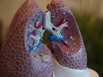 How lung cancer develops and the warning signs to watch for.