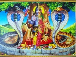২০২৬ নাগপঞ্চমী রয়েছে আগস্ট মাসে, দেখে নিন তারিখ, তিথি